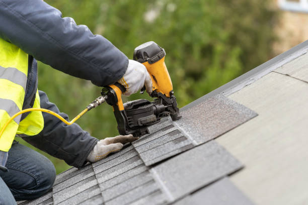 Best Metal Roofing Installation  in San Elizario, TX