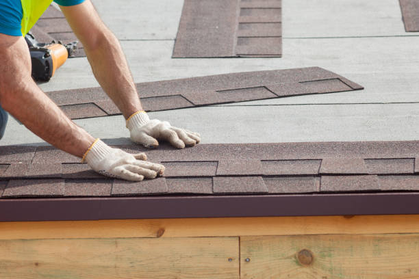 Best Roof Ventilation Installation  in San Elizario, TX